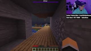 Together we as friends can take down any foe on the bridge *dies* (Dream SMP)