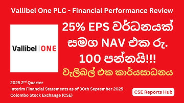 Vallibel One PLC Q2 Financial Highlights & Insights | VONE.N Earnings Surge | CSE Reports Hub
