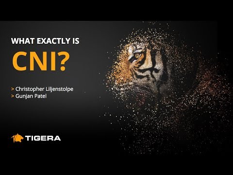 วีดีโอ: CNI คืออะไร?