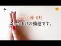 さ…、さすがに驚き。必ず最後まで見てください。特別でした、とても。【牡牛座　6月の運勢】🌷タロット占い