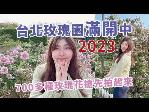 台北玫瑰園 2023 最新花況 700種玫瑰花滿開中 台北花季玫瑰花海開跑中，就帶著家人情人一起來賞花吧！ x 【冷娃一隊】#玫瑰園 #玫瑰花 #台北花季