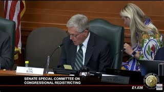 LIVE: Texas State Senate Special Committee on Redistricting to hear public testimony | East Texas