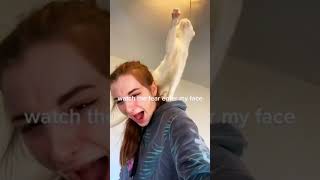 Curiosity Killed The Cat