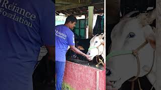 Maharshi Maitreya Ayurveda Gurukul Ashram Tekkatte, Udupi - 576 231 Karnataka