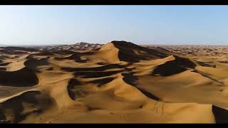 Животные пустыни Сахара