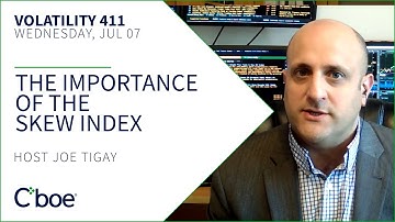 The Importance of the SKEW Index