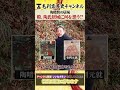毛利家当主が陶の居城に!? #毛利 #陶 #史跡 #城跡