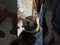 Tik Tik Tik TikЁЯШ ЁЯМЪ Tik Tik Tik TikЁЯШ ЁЯМЪ