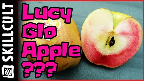 New Lucy Glo Apple, Is It Good?   Review and  Comp...