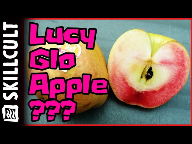 Apple Taste Test: The Krocks Try Every Apple At Trader Joe's
