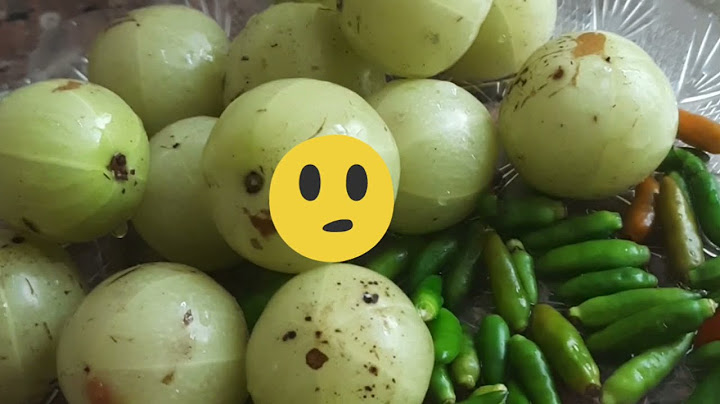 ഉപ്പിലിട്ട  നെല്ലിക്ക |Traditional cooking |Tasty Gooseberry in salt water!