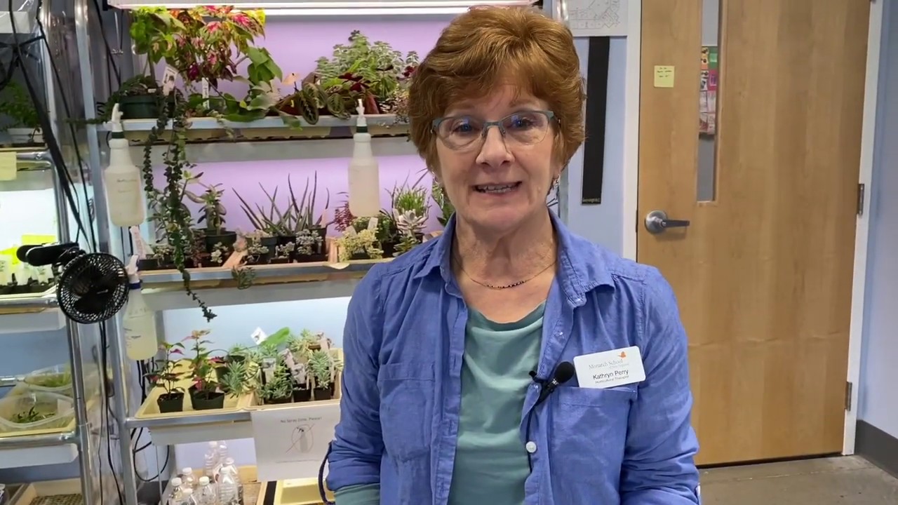 March 2020 Creating a Chia Pet with Kathy YouTube