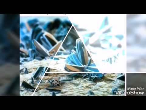 Обычные вещи под микроскопом.