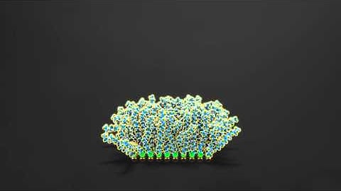 Octadecane thiol on gold surface assembly and self-ordering