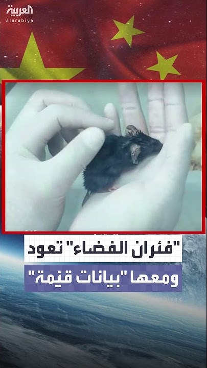     ..  4       
 - نشر قبل 12 دقيقة