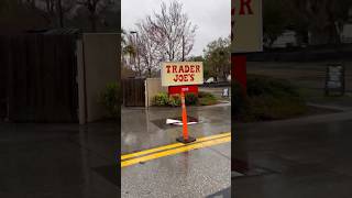 TRADER JOES IS FOR THE PEOPLE WHO GET ON INSTAGRAM & PRETEND THAT THEIR LIVES ARE PERFECT