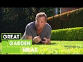 How to get the Perfect Green Lawn | Gardening | Great Home Ideas