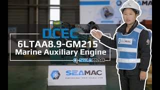 DCEC 6LTAA8.9-GM215 marine auxiliary engine Introduction 2022 [Specifications and Scopes of Supply]