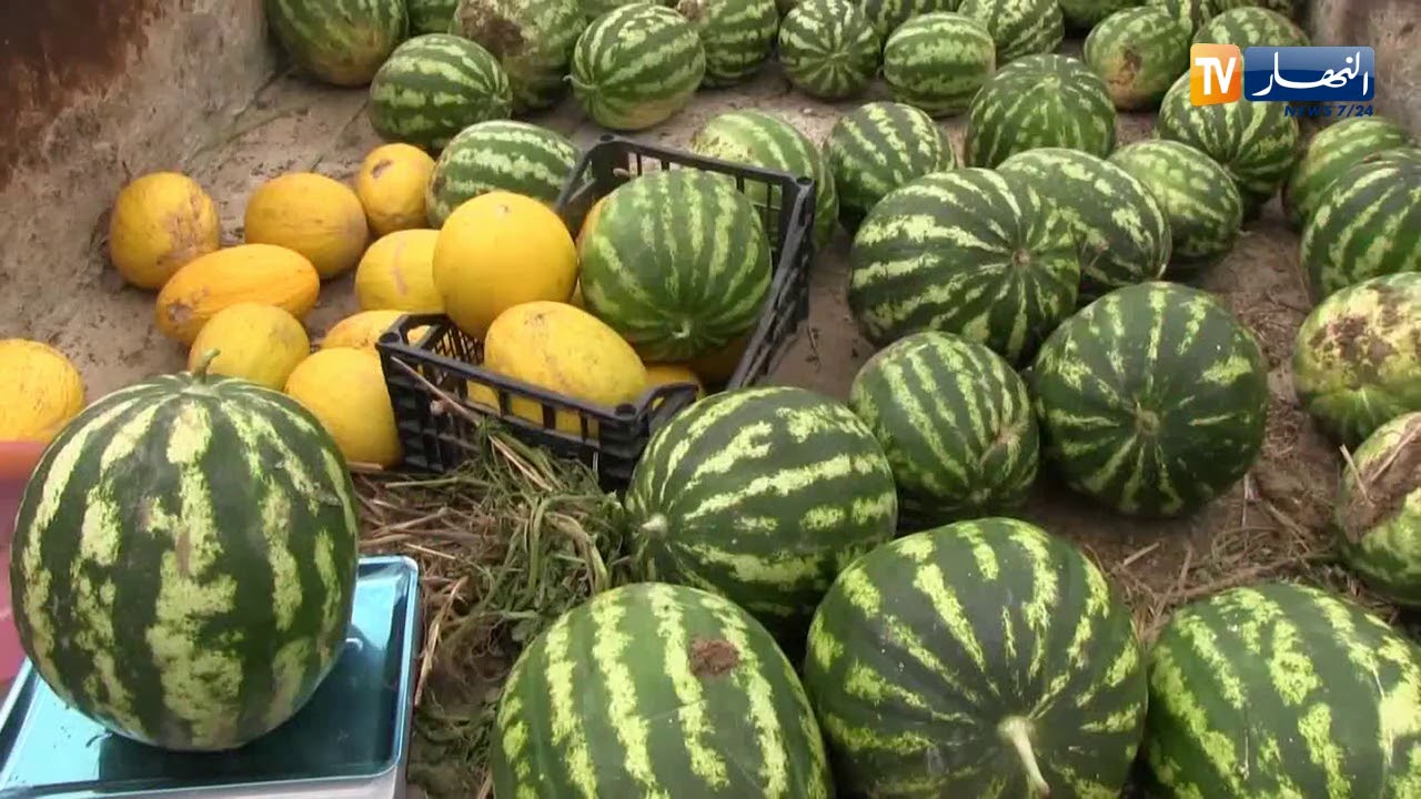 سوق أهراس: حاجزمائي بـ 