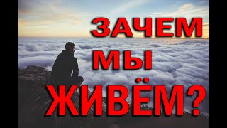 В ЧЁМ СМЫСЛ ЖИЗНИ? | ЗАЧЕМ ЖИВУТ ЛЮДИ