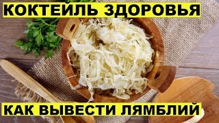КОКТЕЙЛЬ ЗДОРОВЬЯ! ЦЕЛИТЕЛЬНЫЕ СВОЙСТВА КВАШЕНОЙ КАПУСТЫ КОКТЕЙЛЬ ЗДОРОВЬЯ! ЦЕЛИТЕЛЬНЫЕ СВОЙСТВА КВАШЕНОЙ КАПУСТЫ