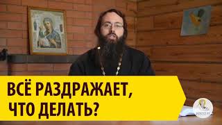 Все раздражает, что делать? Священник Валерий Духанин