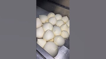 ⚡⚡ Paneer Making Process⚡⚡ #shorts #telugufoodie #esangathulu #streetfood  #foodie #omelette