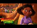 Happy Birthday Kate! | Madagascar: A Little Wild