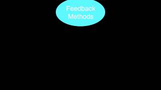 MKT 450 Techsmith Qualitative Project