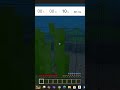 Minceraft death any%