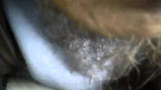Capture 20151228 4