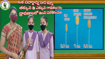 Raisins experiment class 9  ||  Osmosis in raisins  ||  Experiment with raisins  ||  Osmosis