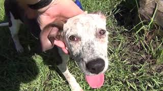Meet lovable Melvin!