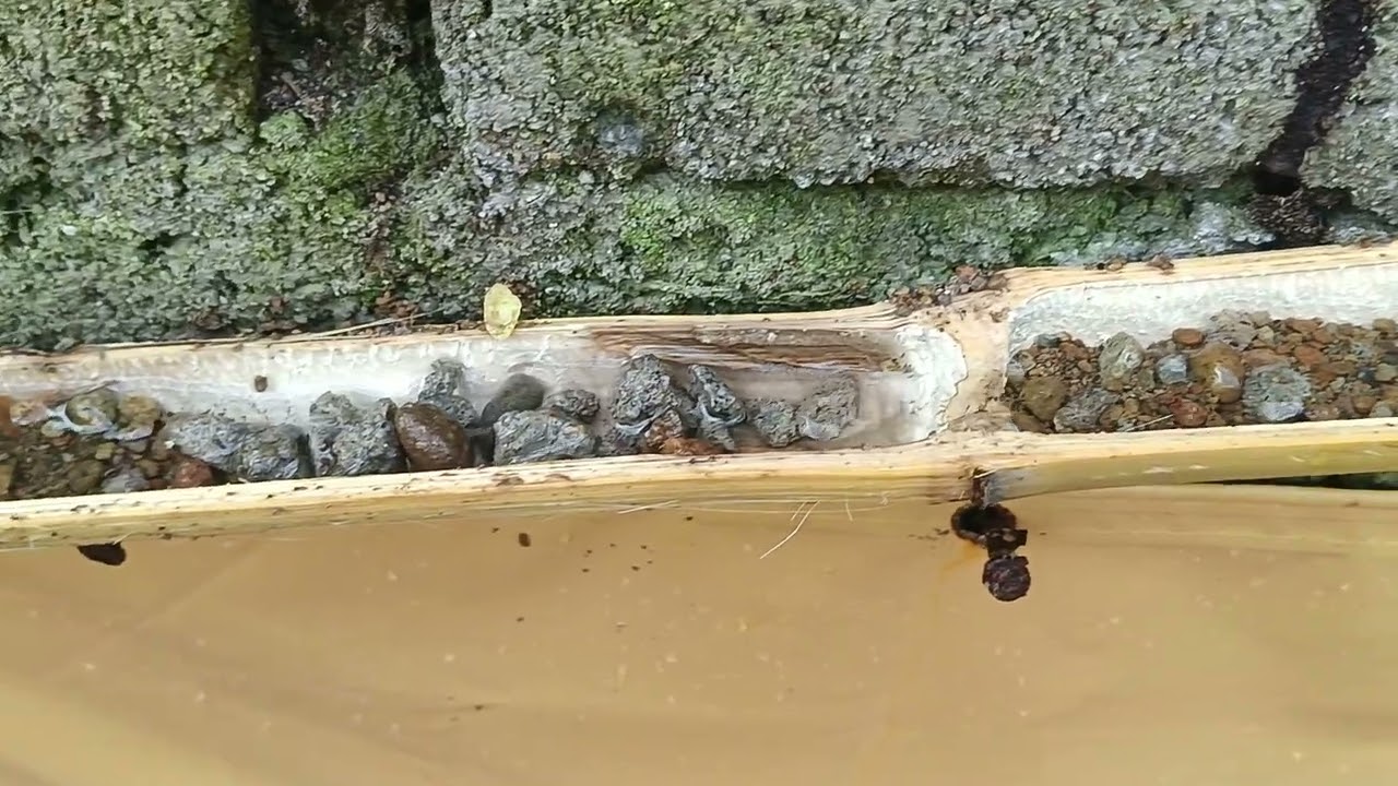 ITO ANG TILAPIA FISH KO SA TARP,  FREE FILTER, AERATOR OXYGEN SIMPLE SOLAR SET UP 