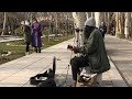 Live performance in Ferdows Garden, Tehran