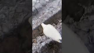 Haha, Do You Want To Hit It? Just For Thawing.