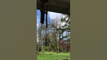 Wind Chimes on the Porch