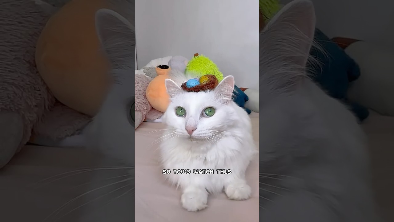 Not my real Dad? 🙀 