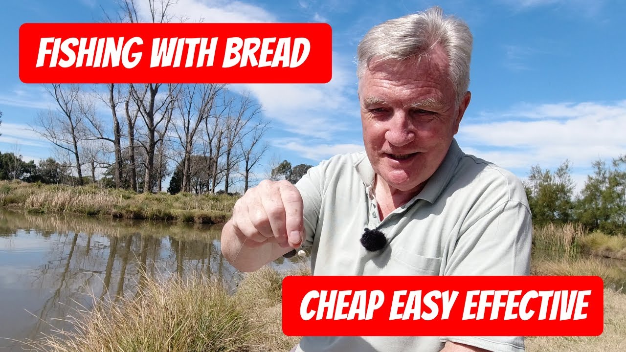 Bread Punch Fishing Basics - Easy Guide for Pole or Waggler 