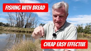 Bread Punch Fishing Basics  - Easy Guide for Pole or Waggler