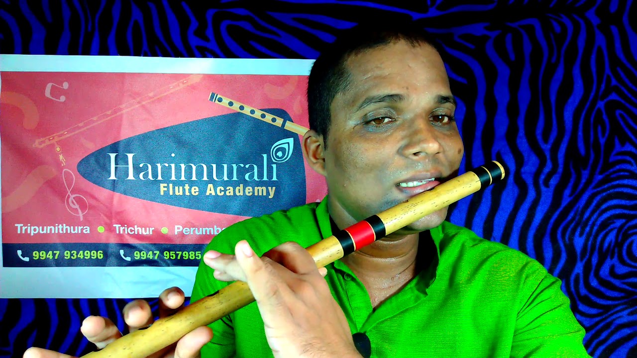 #flute class#malayalam. #peelu part 2#kappi ragam