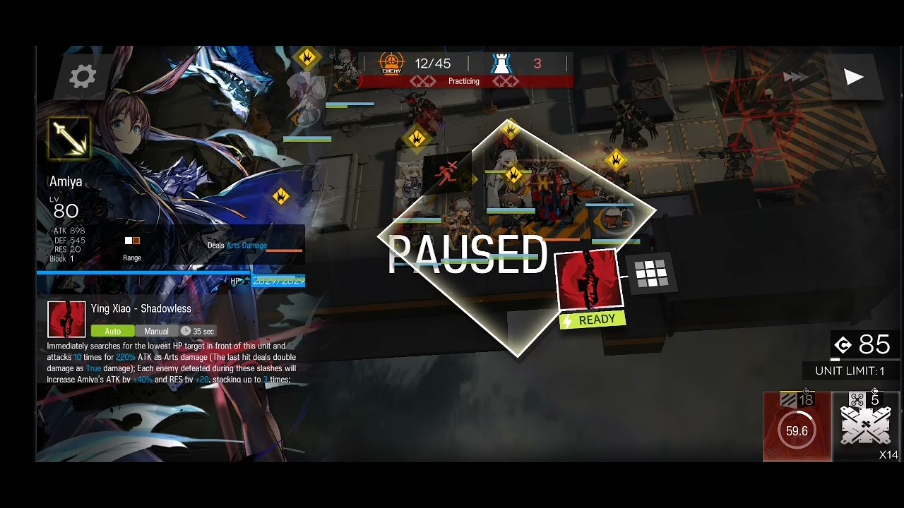 Guardmiya 20k damage