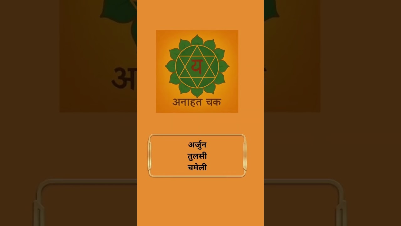 Healing and Balancing chakras with Ayurveda