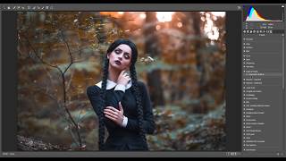 How to use AUTUMNAL preset screenshot 3