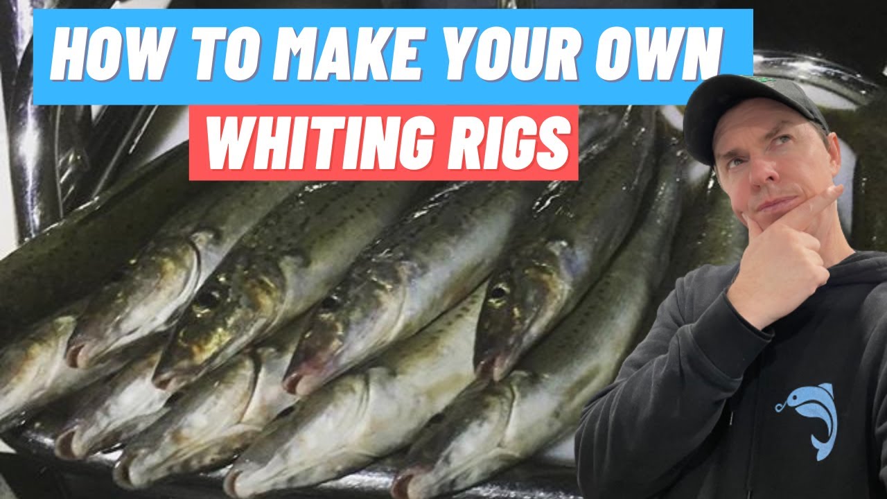 How to Make WHITING RIGS, DIY Running Sinker & Paternoster Rig, Whiting  Rig Setup