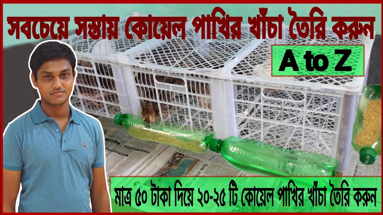 কোয়েল পাখির খাঁচা তৈরি | বাড়িতে ২০-২৫ কোয়েল পালনের জন্য সহজে খাঁচা তৈরি করুন।Easy Make quails cage 2