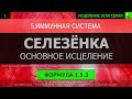 1.5.3 🎧 Здоровье Селезёнки ГЛУБОКОЕ ИСЦЕЛЕНИЕ (резонансный саблиминал)