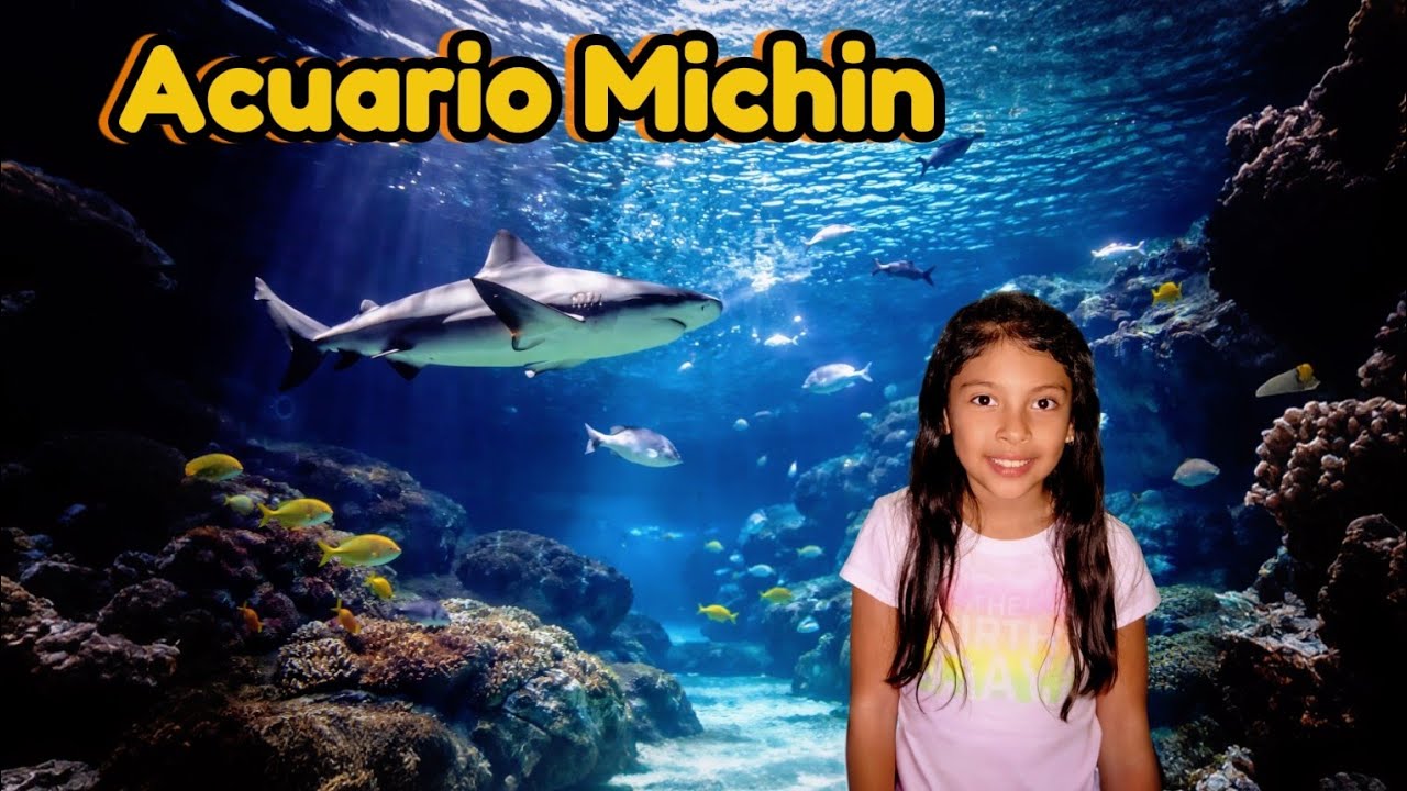 Un Gran Acuario "Michin" 🦈 l El más Grande de Latinoamérica | Parque ...