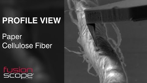 FusionScope® SEM Profile View: Cellulose Fiber AFM Nanoscale Imaging Software