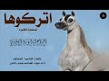شيلات رقص قويه 2023 اتركوها للمنصات الكبيره اداء الفخامه متعب الخيل جديد 2023 